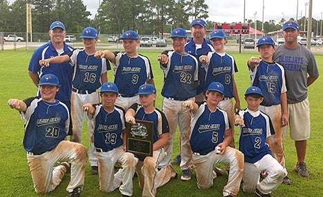 The Vicksburg Blue Jays 12-and-under baseball tournament team finished second in the 2014 World Series Summer Games in Biloxi, July 17-20, and second in the Governor's Cup at Halls Ferry Park July 25-27. Team members are, front row from left, Marsh Woods, Zane Flaharty, Landon Bull, Haden Luke and Tyler Karel. Top row, from left, are Thomas Phillips, Gabriel Katzenmeyer, Hager Fortenberry, Trevor Rouse, Ethan Parmegiani. The team is coached by Gene Rouse, Nathan Karel and Eric Douglas. (Submitted to The Vicksburg Post)