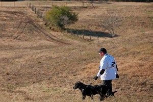 Black labrador retriever Seaside's Pelican Pete walks back to his trailer Tuesday with handler Steve Yozamp after going on a run during the National Retriever Club's 2014 National Championship Stake at a 2400-acre estate in Bovina. The duo won the championship in 2012, which was held in Montgomery, Texas. (Justin Sellers/The Vicksburg Post)