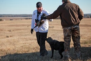 Black labrador retriever Dottie Ray's Ivy League shakes off after retrieving a duck for his handler Tuesday during the National Retriever Club's 2014 National Championship Stake at a 2400-acre estate in Bovina. (Justin Sellers/The Vicksburg Post)