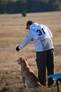 Handler Paul Sletten lines up yellow labrador retriever Magic Tricks Autumn Creek Tazz Tuesday before going on a run during the National Retriever Club's 2014 National Championship Stake at a 2400-acre estate in Bovina. Sletten was one half of the duo that won the championship in 2010 – the last time the event was held in Warren County. (Justin Sellers/The Vicksburg Post)