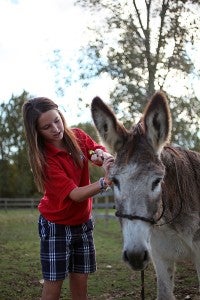 Volunteer Meg McDaniel, 12, cares for Baby Donk, a donkey, Wednesday at the Vicksburg-Warren Humane Society. (Justin Sellers/The Vicksburg Post)