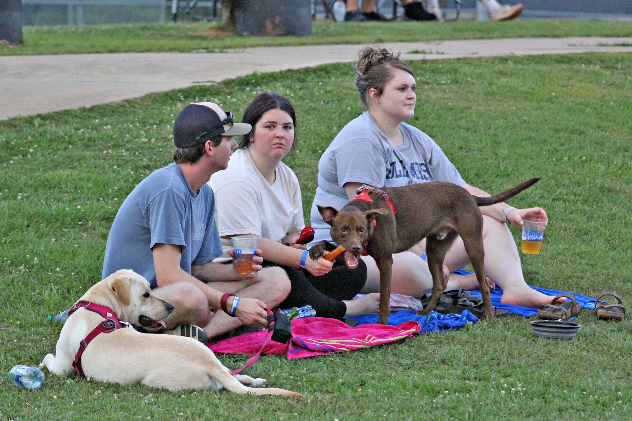 Tigers host Bark in the Park