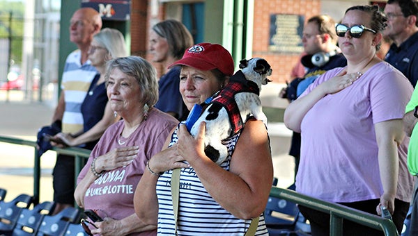 Braves fans share Bark at the Park pictures