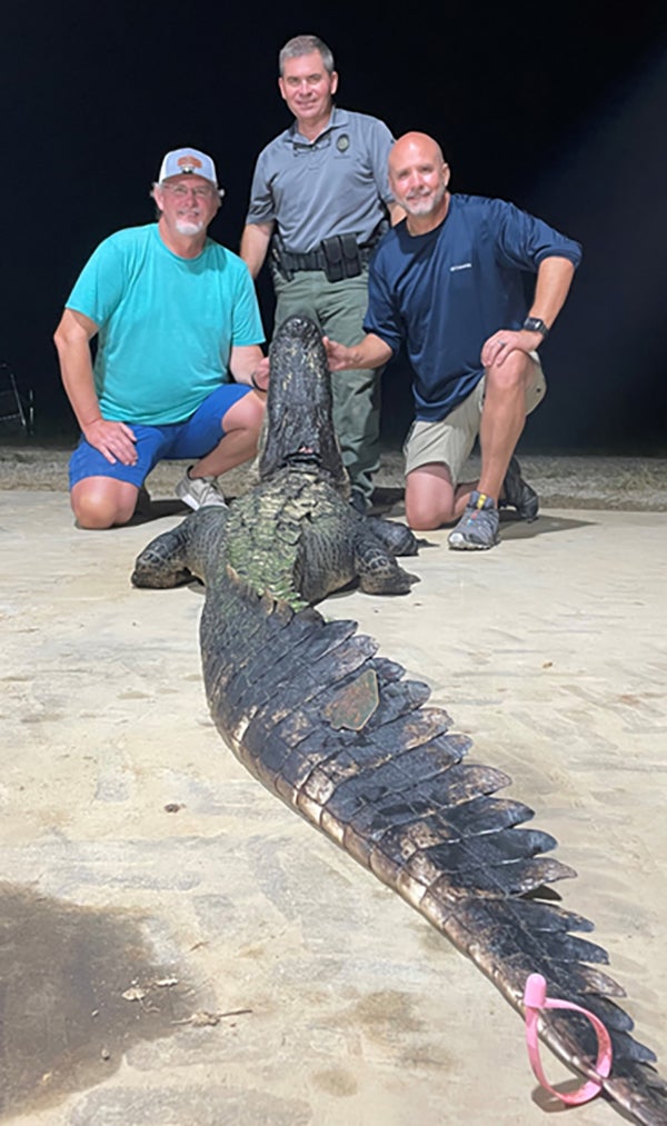 world record alligator 2022