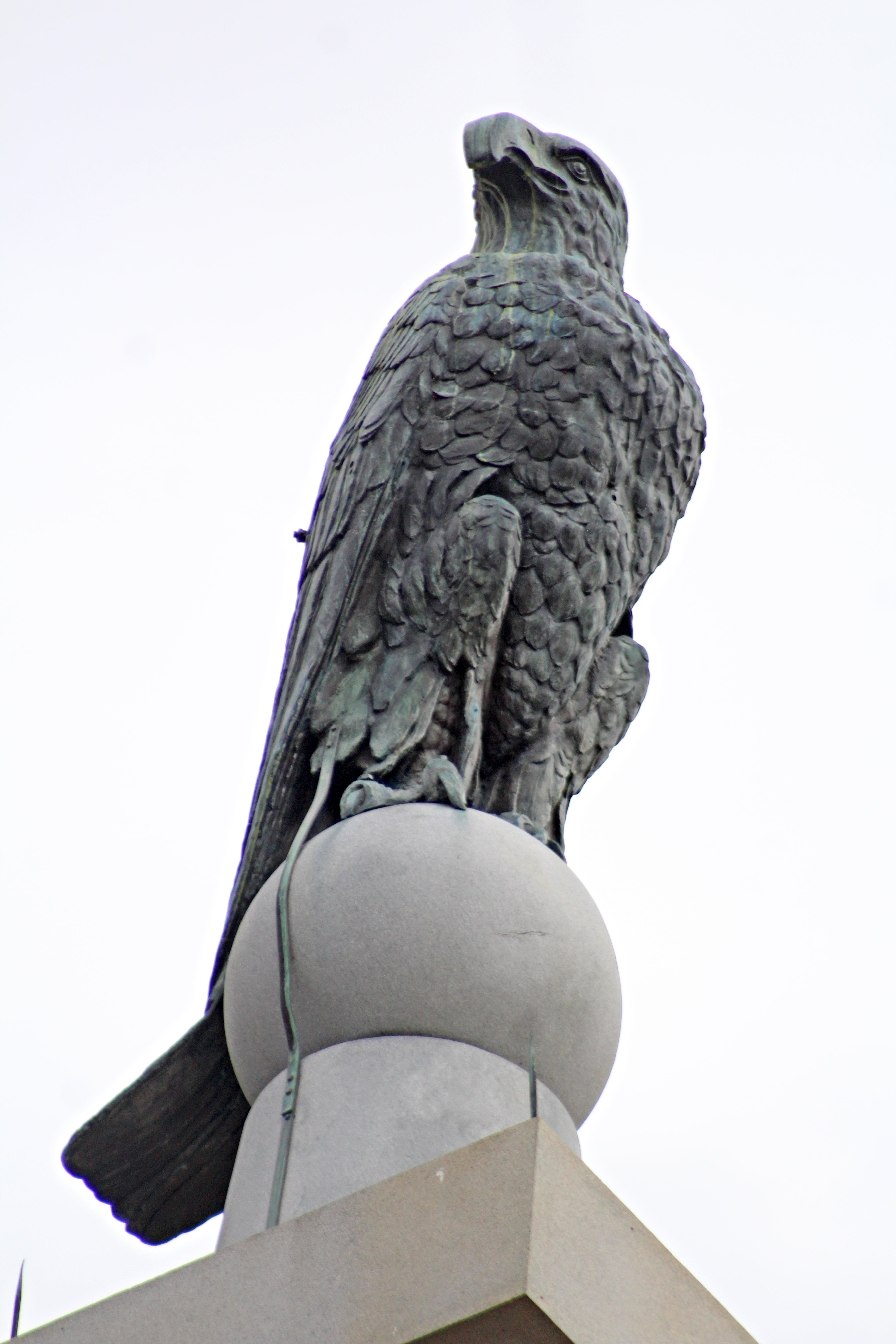 Old Abe Wisconsin's War Eagle - Wisconsin Veterans Museum