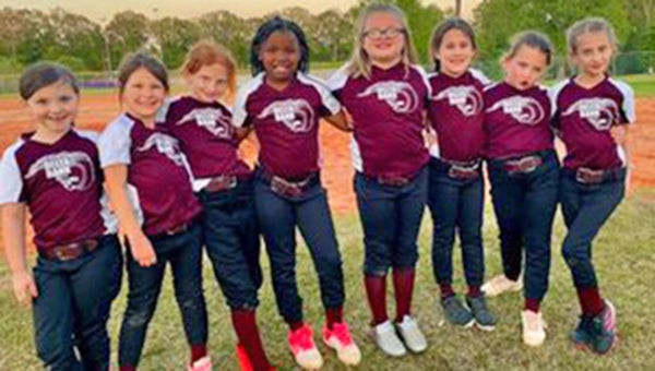 60 Funny, Clever Softball Team Names (2019) 